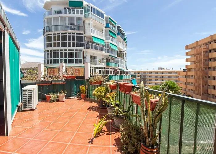 公寓 Cosy 1bd Near Playa De Americas, 208